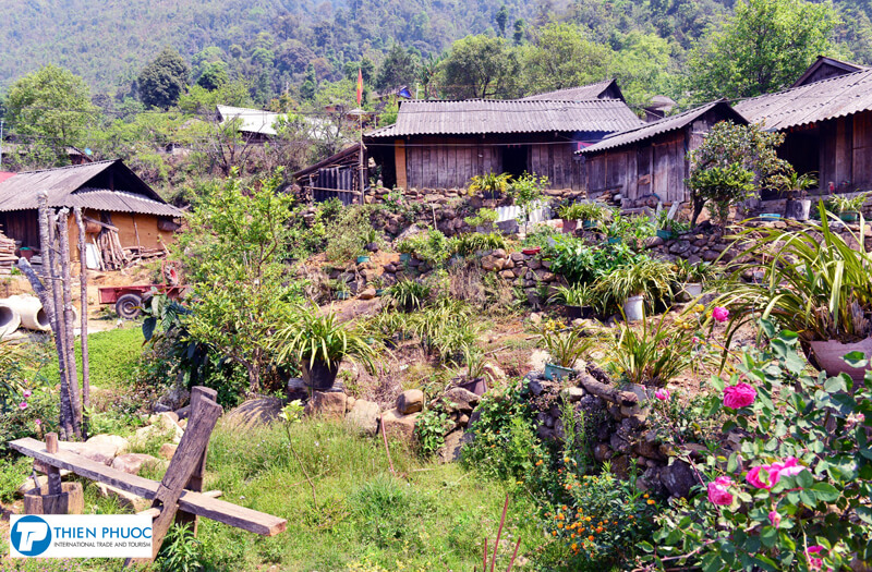 Ghé thăm Sì thâu chải – bản làng mơ mộng trên mảnh đất Lai Châu